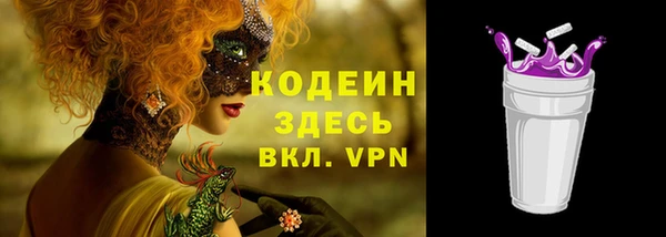 метадон Богданович