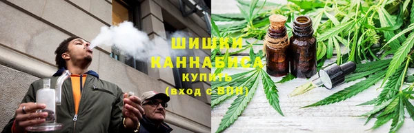 метадон Богданович