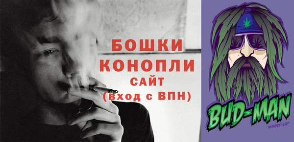 метадон Богданович